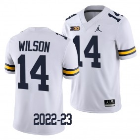 Michigan Wolverines Roman Wilson Jersey 2022-23 College Football White #14 Game Men's Shirt