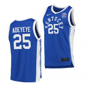 Adebola Adeyeye Kentucky Wildcats #25 Blue NCAA eligibility Jersey 2023 WNBA Draft