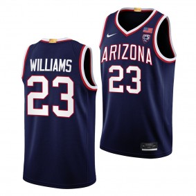 Arizona Wildcats Derrick Williams Limited Basketball uniform Navy #23 Jersey