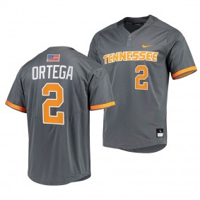 Jorel Ortega Tennessee Volunteers #2 Grey College Baseball Jersey