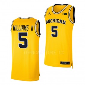 Terrance Williams II Michigan Wolverines #5 Maize College Basketball Jersey 2022-23 Limited