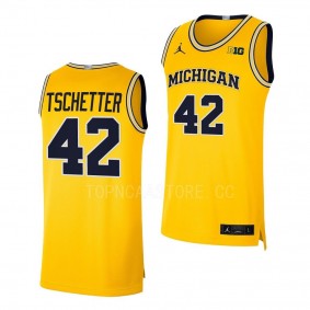 Will Tschetter Michigan Wolverines #42 Maize College Basketball Jersey 2022-23 Limited